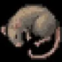 The Great Spiffo's Rat Race