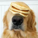 pancake