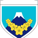 1st Division "Tokyo division"
