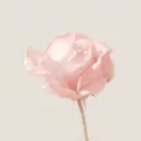 ✶ ᶻz .ᐟ Flower Field !!