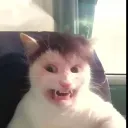 Димон батон Discord server icon