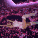 Goddess Sanctuary Discord server icon