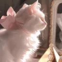 ᴡʜɪꜱᴘᴇʀ •° banner