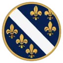 Bosansko Kraljevstvo Discord Server Icon