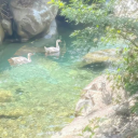 Sacred Pond Discord server icon