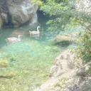Sacred Pond