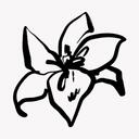 Whimsical Studio - Roblox Studio #7K icon