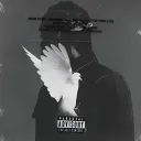 𝐓𝐞𝐚𝐦 𝐬𝐜𝐚𝐫 REBORN