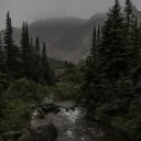 🌲⋆｡˚ 𝐋𝐎𝐒𝐓 𝐀𝐓 𝐒𝐄𝐀