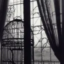 The Birdcage | Dead By Daylight | Subculture | Emo | Community | Egirl | Eboy | Semi Tox |