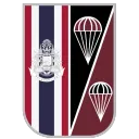 PARU | Police Aerial Reinforcement Unit