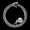 : Discord server icon