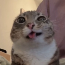 Freaktopia Discord server icon