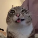 Freaktopia discord icon