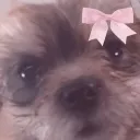 ♡♡♡♡