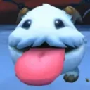 NESSCORD