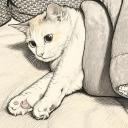 Cattoland