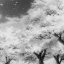 θρ⋆❄ WintrZz☃ • | Social-Ha...