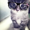 cooldinofy's place