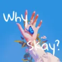 Why Skay