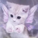 ˗ˏˋ ♡ ˎˊ˗ lav﹒portal﹒