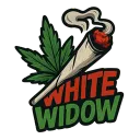 White Widow Cannabis | Betterside