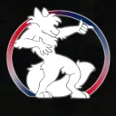 SaarFurDance