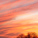 The Reserve Discord server icon