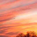 The Reserve Discord Server Icon