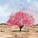 | TA | Ban Affı Sunucusu