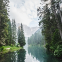 Healing Forest Discord server icon