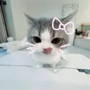 みゆさまサーバー⋆౨ৎﾟ⟡.