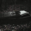 𝕋𝕙𝕖 𝕄𝕠𝕣𝕘𝕦𝕖 Discord server icon