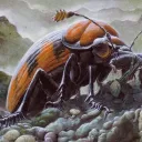 Pauper Black Sac