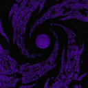 🕸 Gothic Summoning 21+ 🕸 Discord server icon