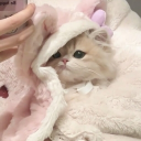 ₊˚⊹ ᰔ ʜᴇᴀᴠᴇɴʟʏ ᰔ⊹˚₊ SFW ·