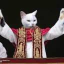 Kocia Religia
