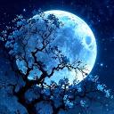 ˖ ࣪☆.Wαηdєrιηg Stαrѕ.☆ ࣪˖