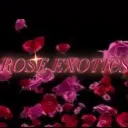 ROSE EXOTICS⚠💯🥀