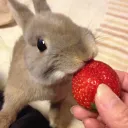 boo