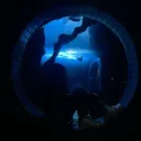 ៸៸ 🪼 𓂃 avalon 𓈒 / REVAMP