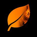 Platform Destroyer icon