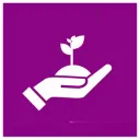 Olivelad's server Discord server icon