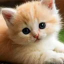 OLEG