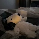 ♟      ↻         ȷᥲᥱ's sһ᥆⍴      !?