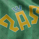PAS V