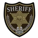 SADOJ: Blaine County Sheriff's... Discord Server Icon