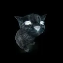 catsia™
