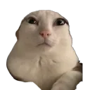 Reginald