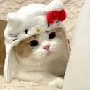 make friends 🐾  matching  •  pfps  •  chat・Vcs  • decor・art・guilds・games・giveaways・tags・emojis